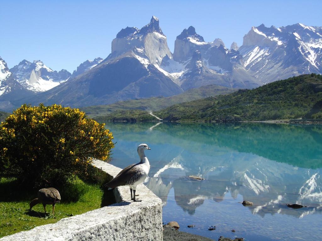 Hosteria Pehoe Torres del Paine National Park Εξωτερικό φωτογραφία